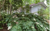property listing